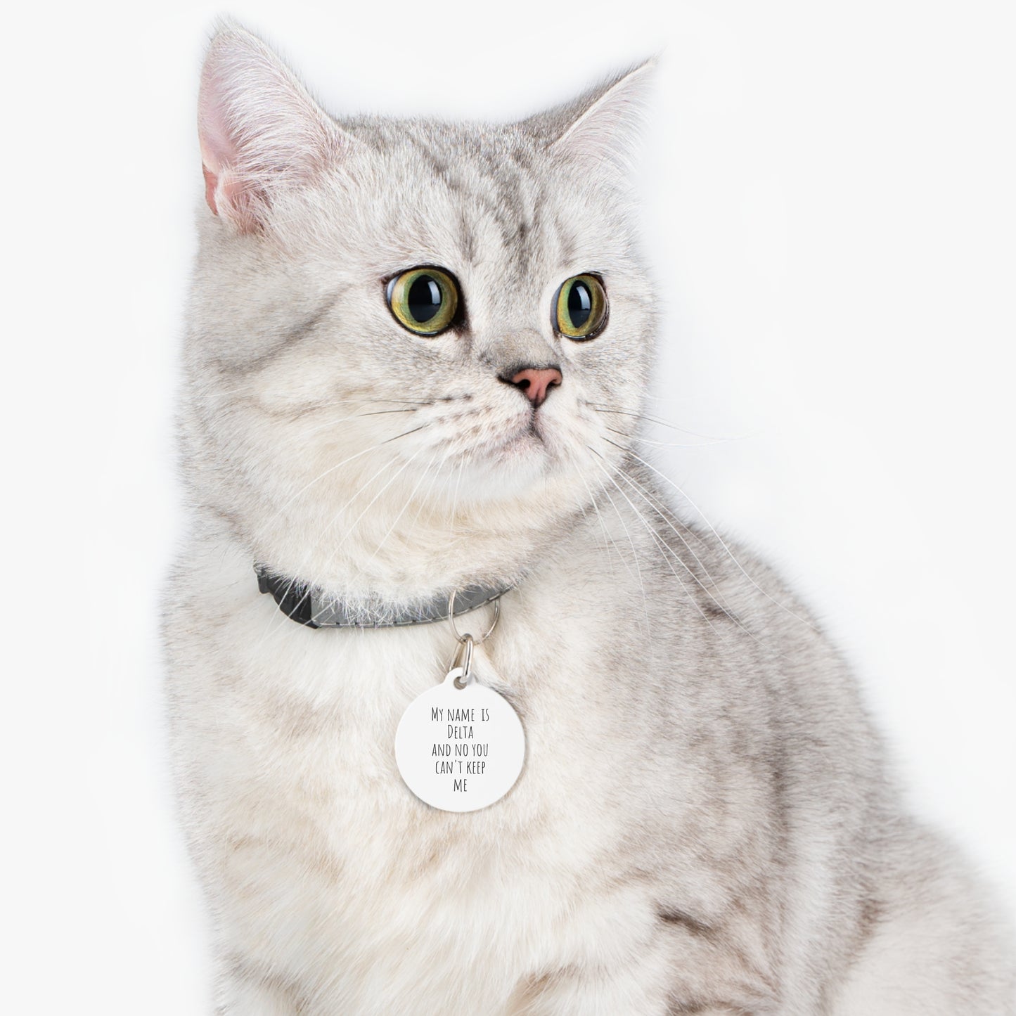 Pet Tag - Personalized Cat Tag 'My name is _____ and no you can't keep me' - Add Your Phone Number